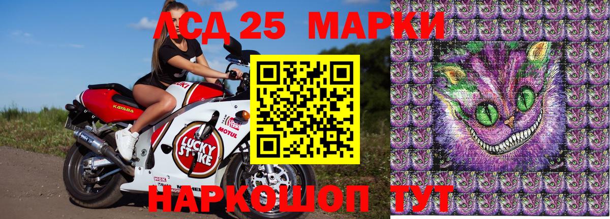 Наркотические марки  Вход с VPN  Вязники  Наркотические марки 1,5мг  Наркотические марки 1,5мг 