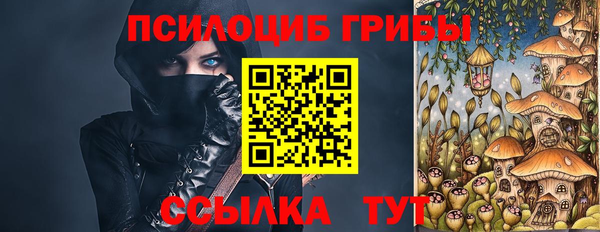 Псилоцибиновые грибы Psilocybine cubensis Вязники